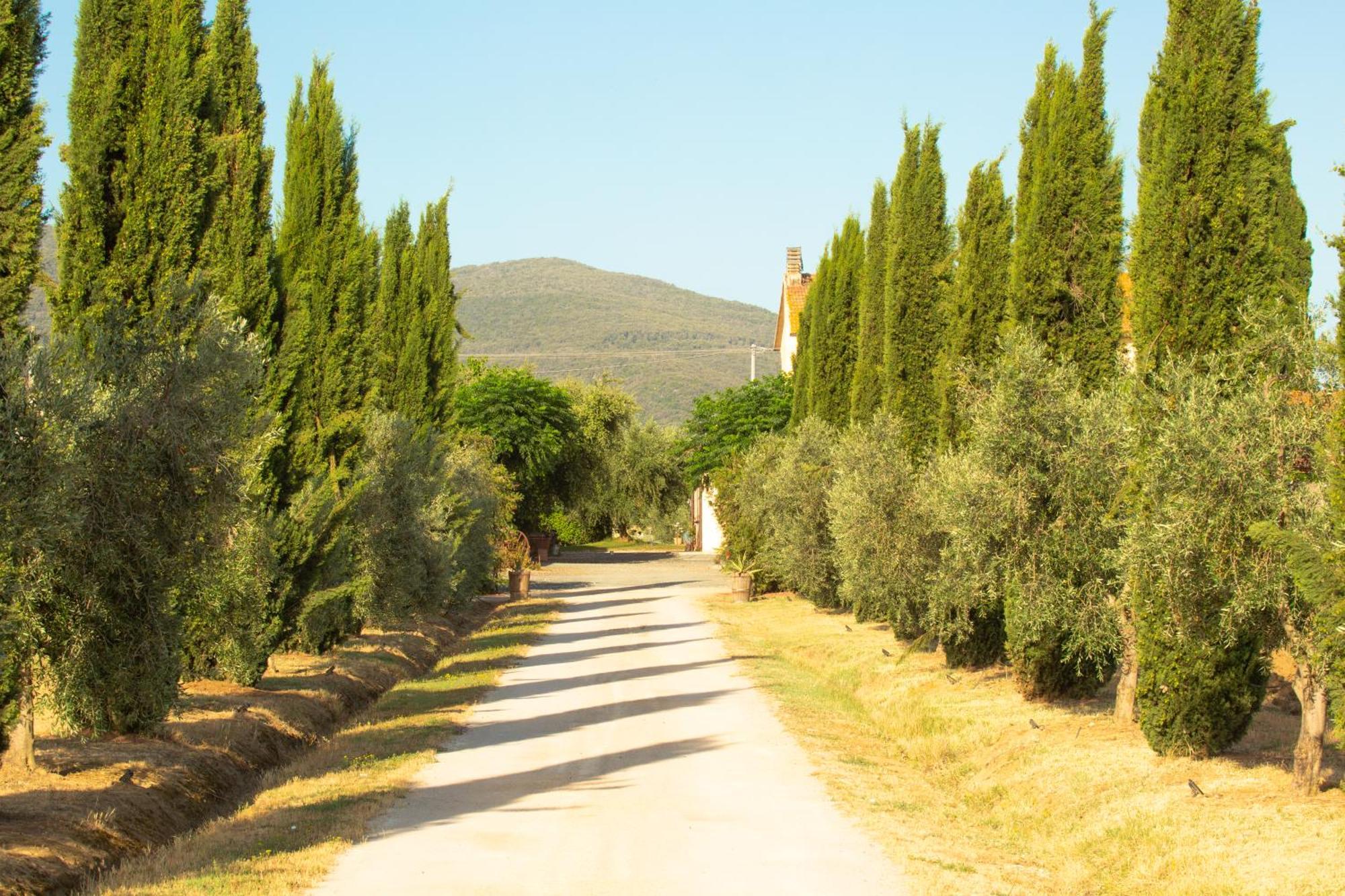 אלברזה Agriturismo Al Vermigliano מראה חיצוני תמונה